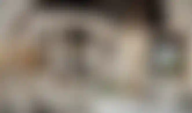 image for main block