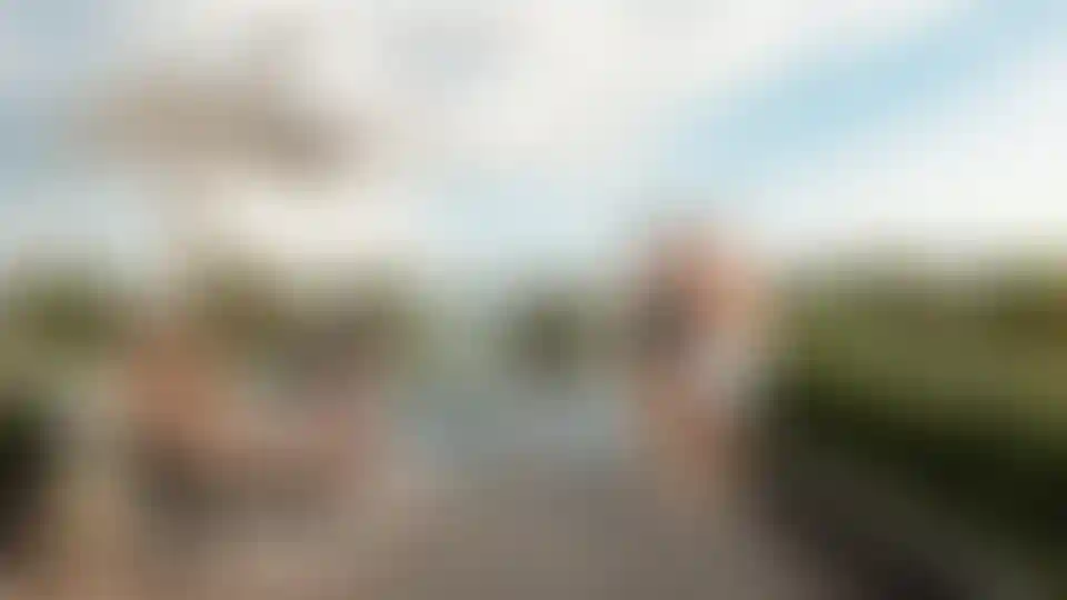 image for main block