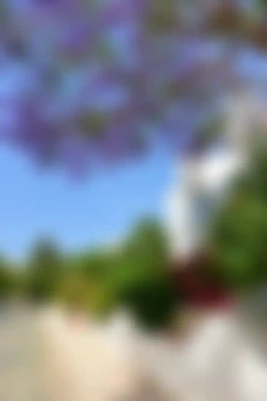 image for main block
