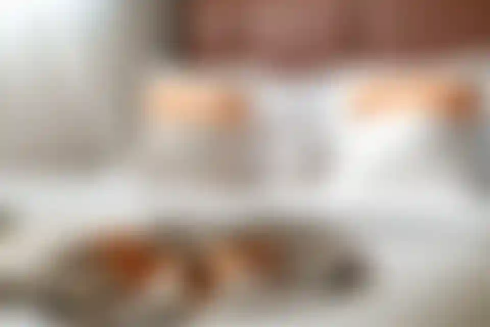 image for main block