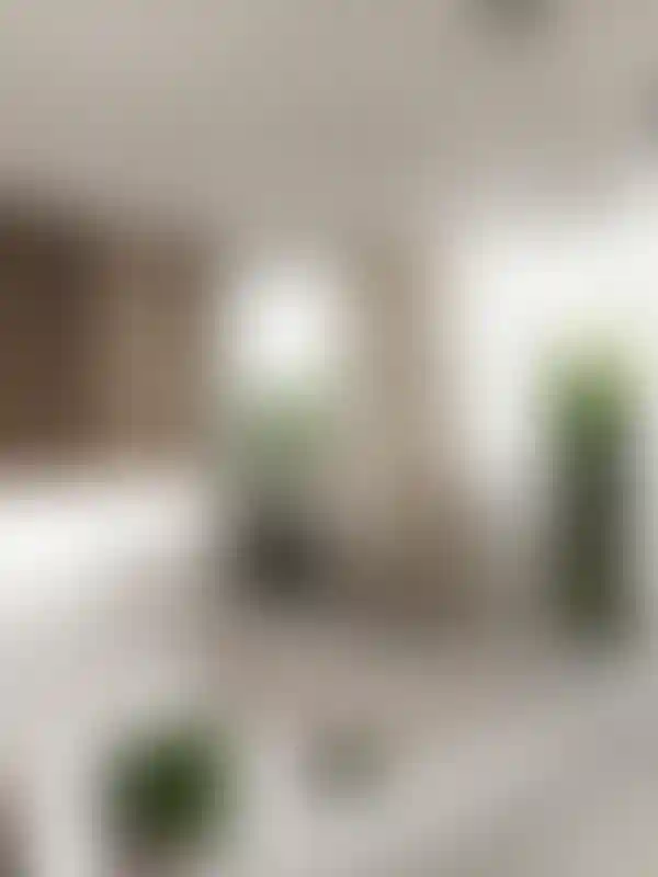 image for main block