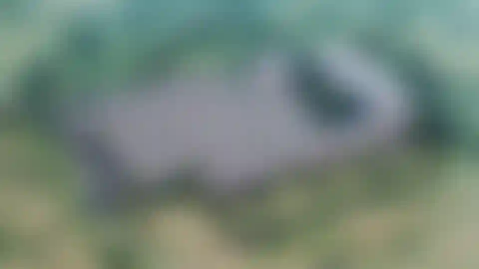 image for main block