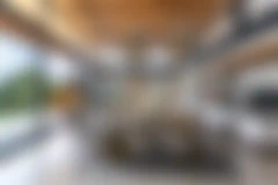 image for main block