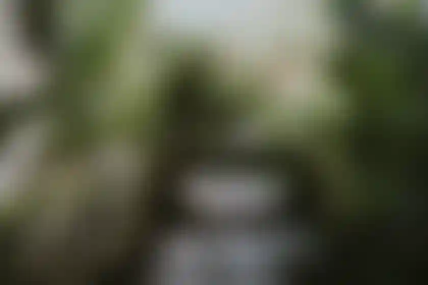 image for main block