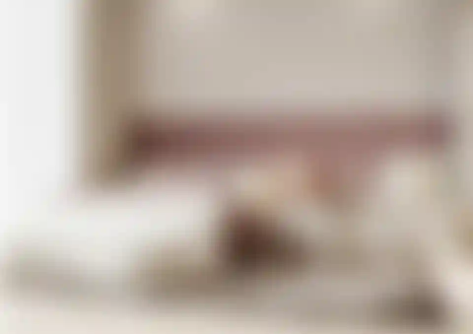 image for main block