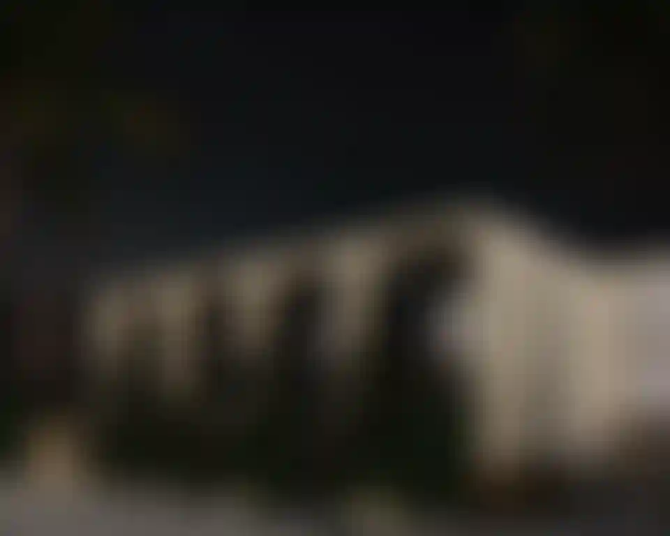 image for main block