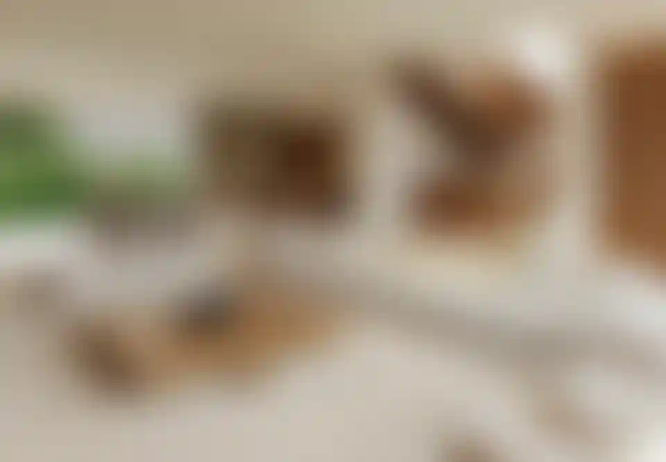 image for main block