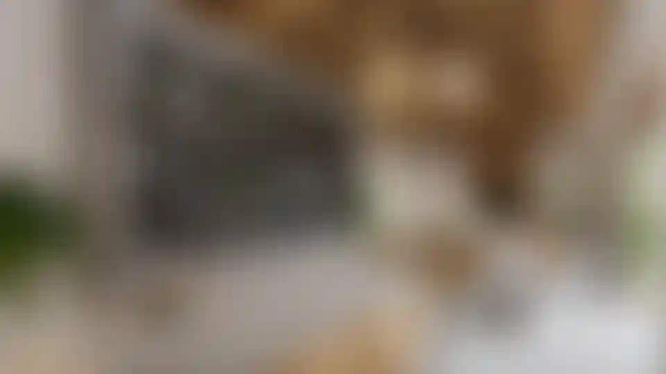 image for main block