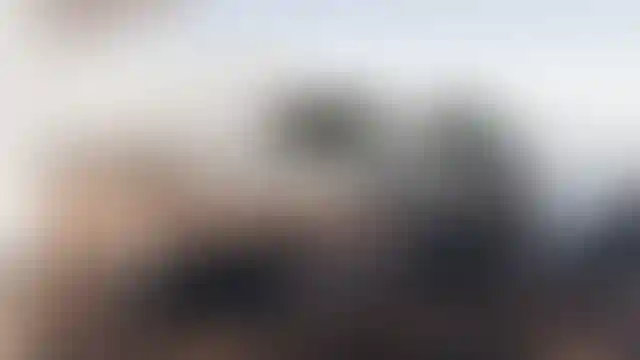 image for main block