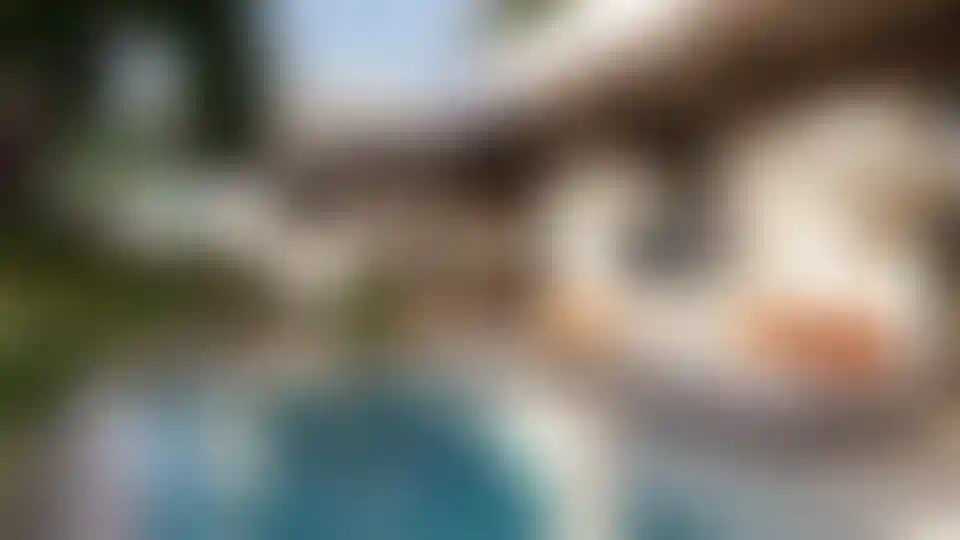 image for main block