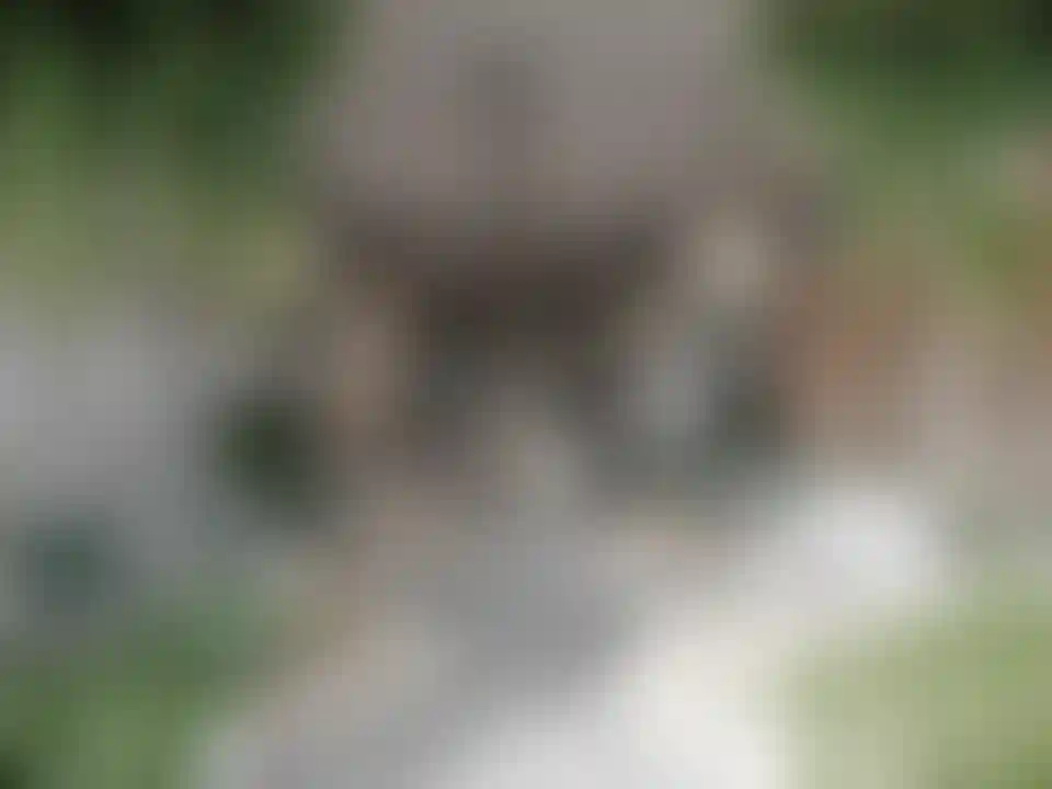 image for main block