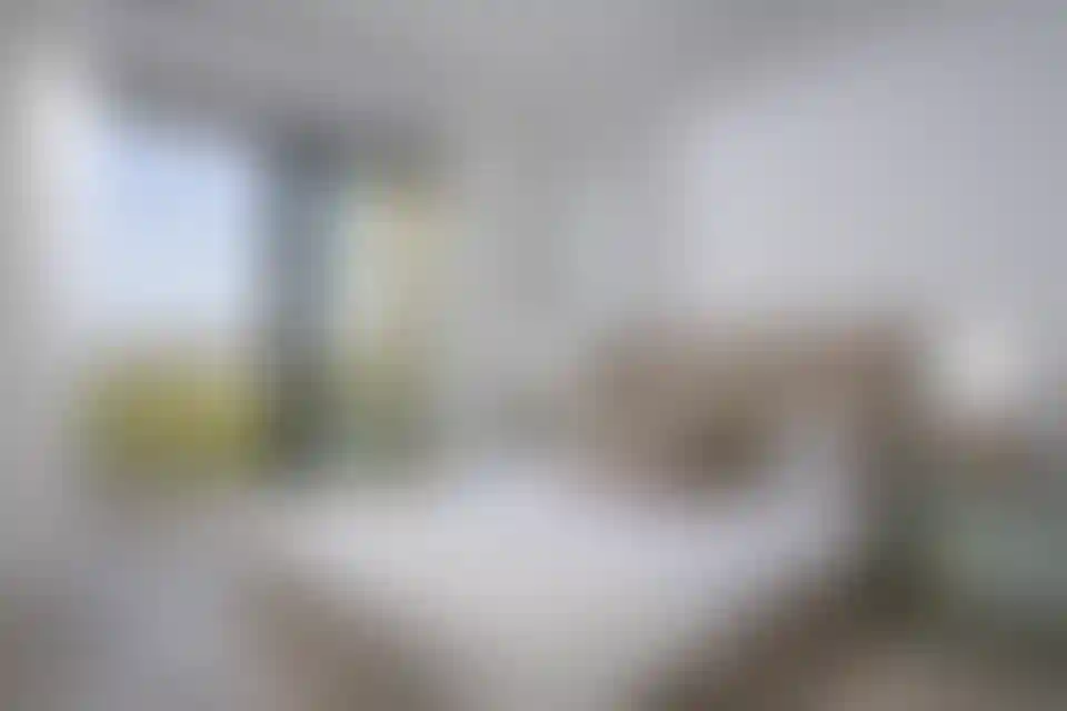 image for main block