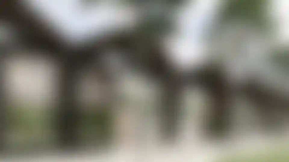 image for main block