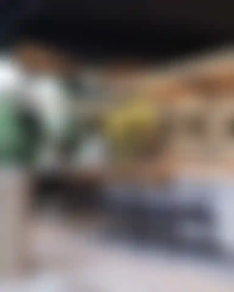 image for main block