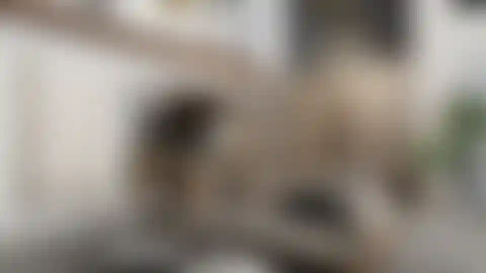 image for main block