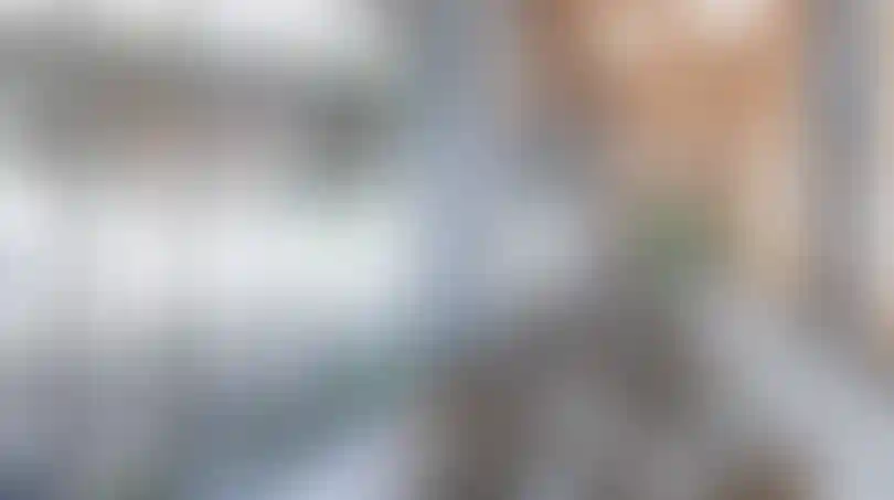 image for main block