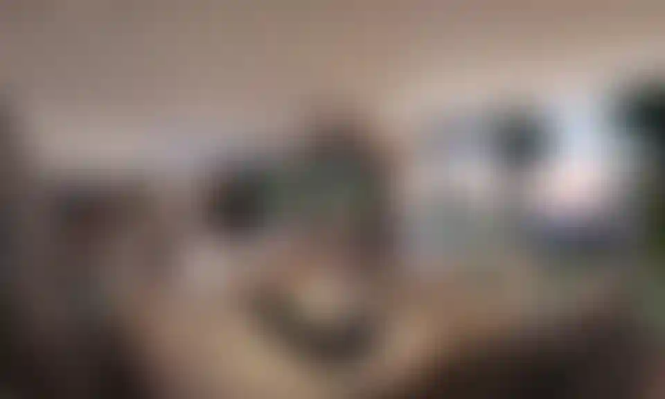 image for main block