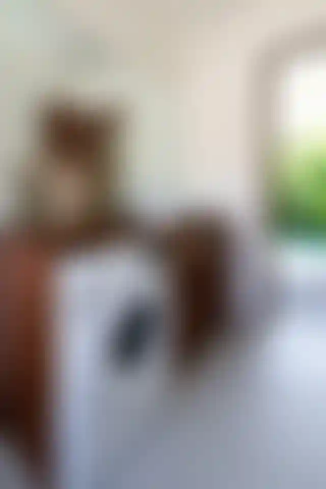 image for main block