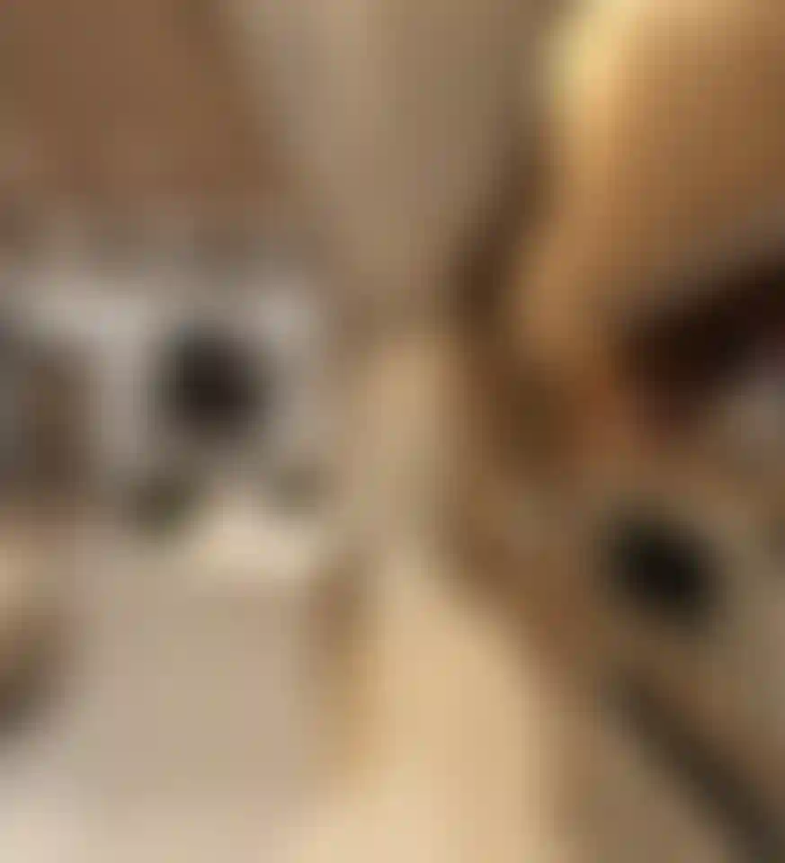 image for main block