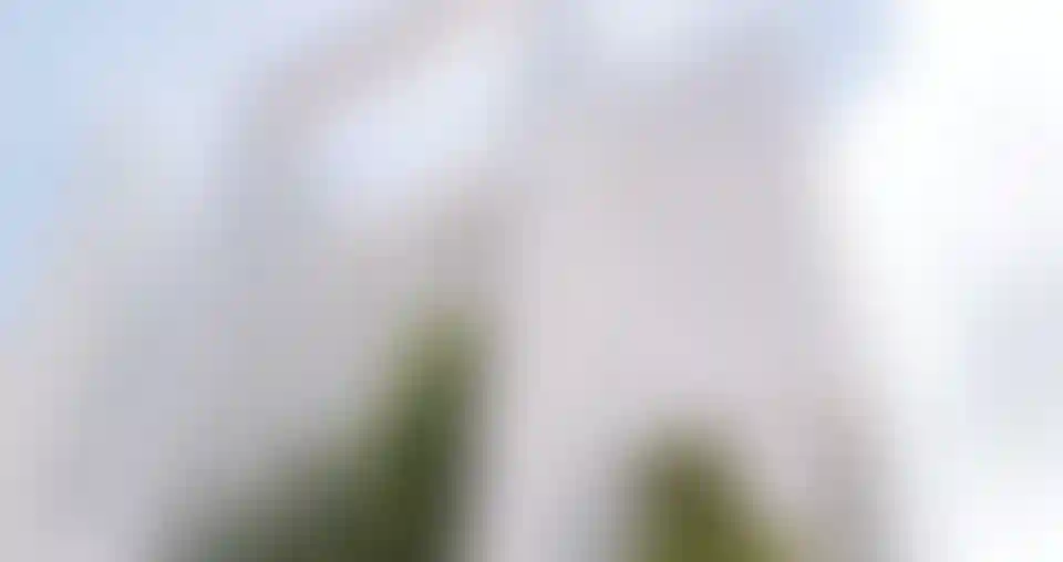 image for main block