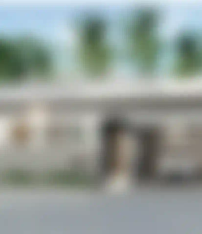 image for main block