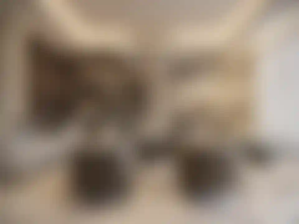 image for main block