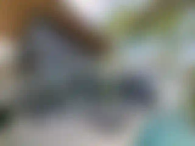 image for main block