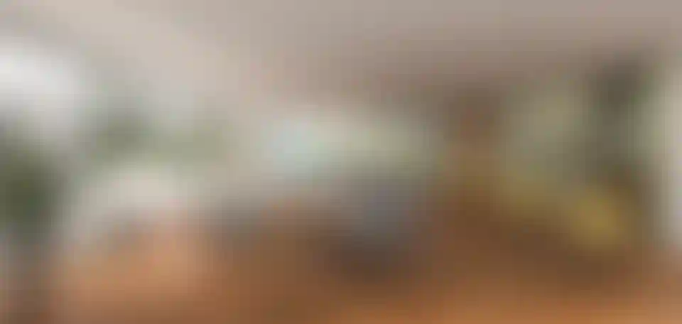 image for main block