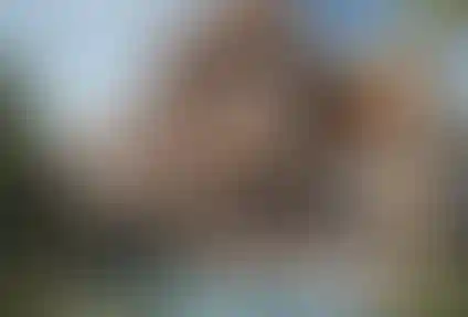 image for main block