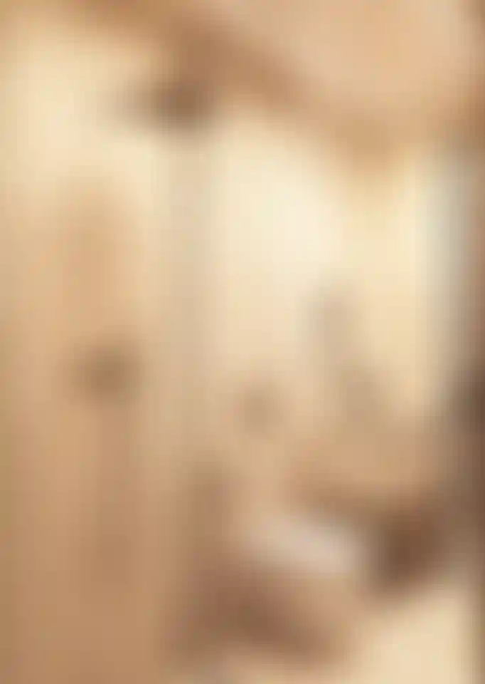 image for main block