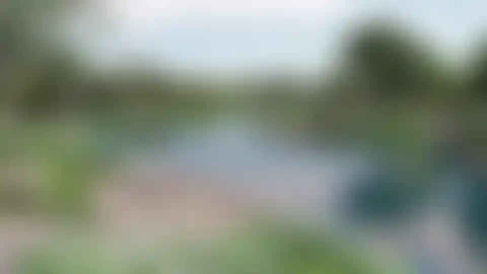 image for main block