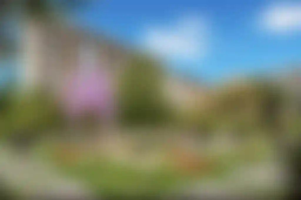 image for main block