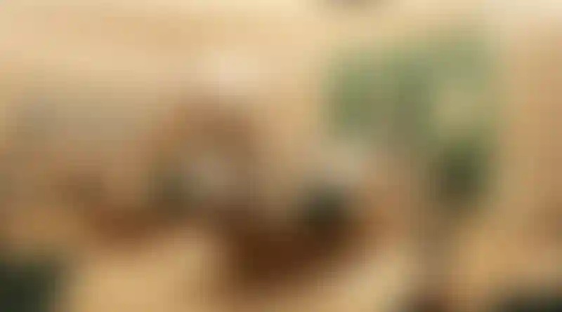 image for main block