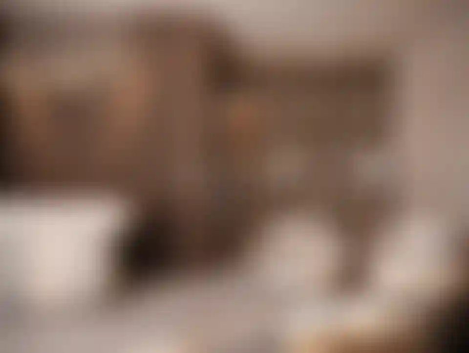 image for main block