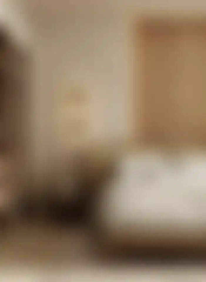 image for main block