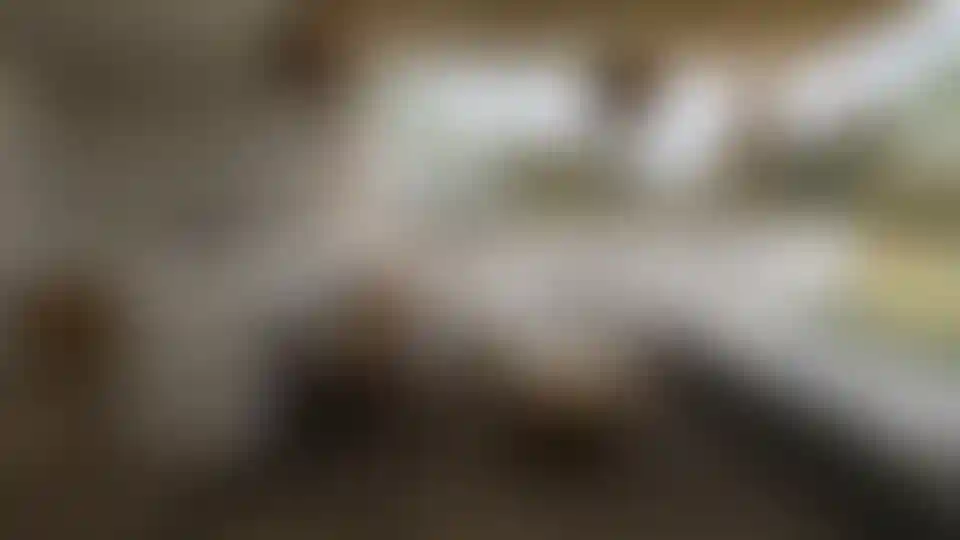 image for main block