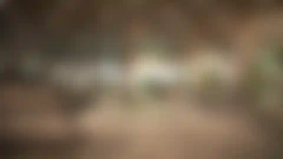 image for main block