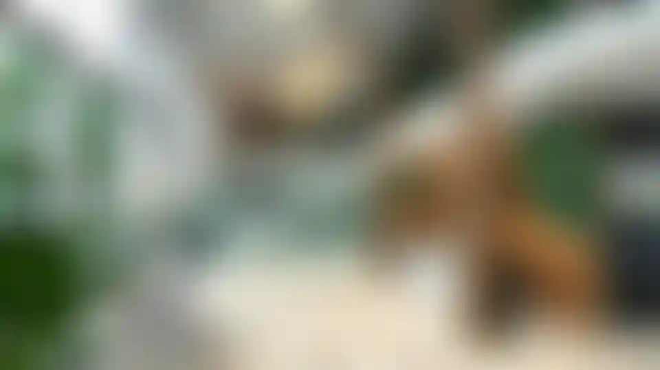 image for main block