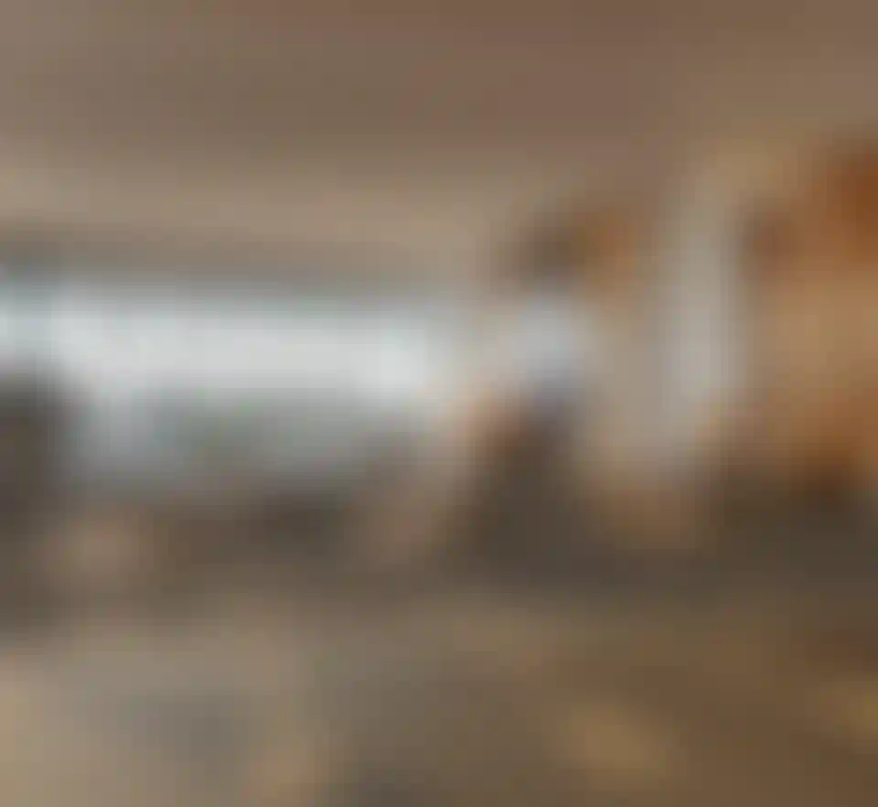 image for main block