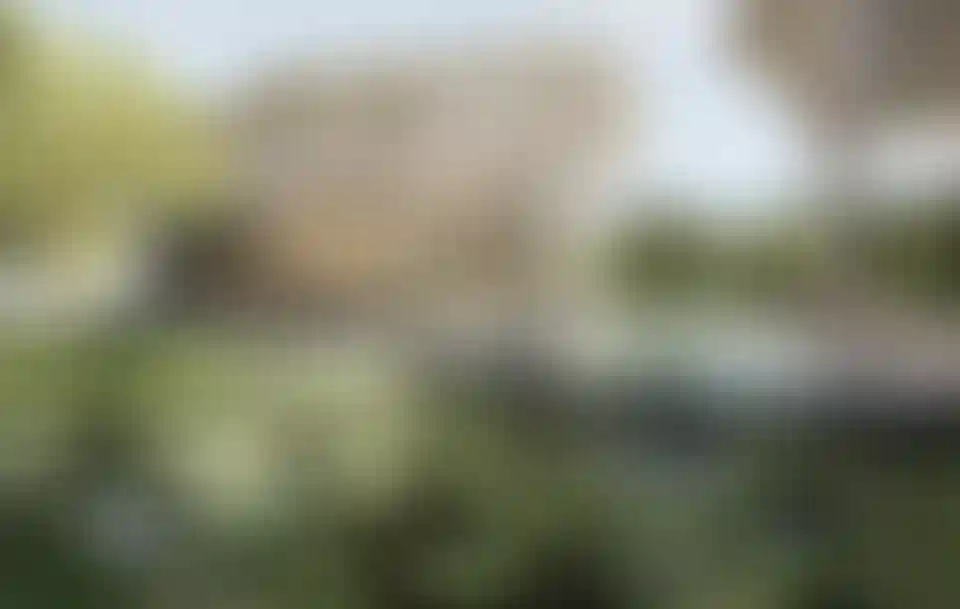 image for main block