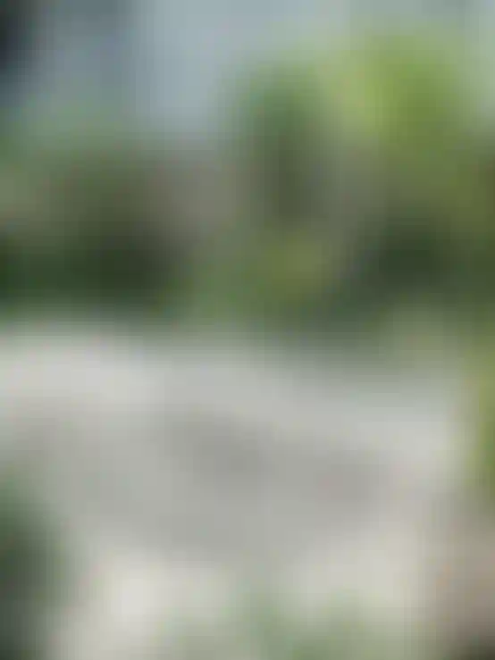 image for main block