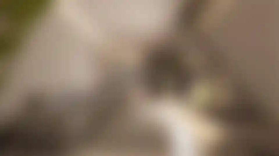 image for main block