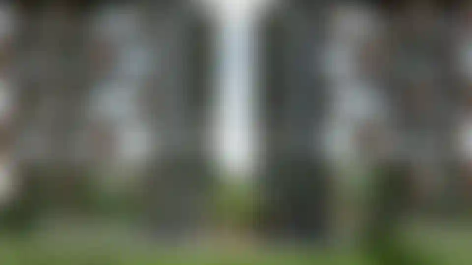 image for main block