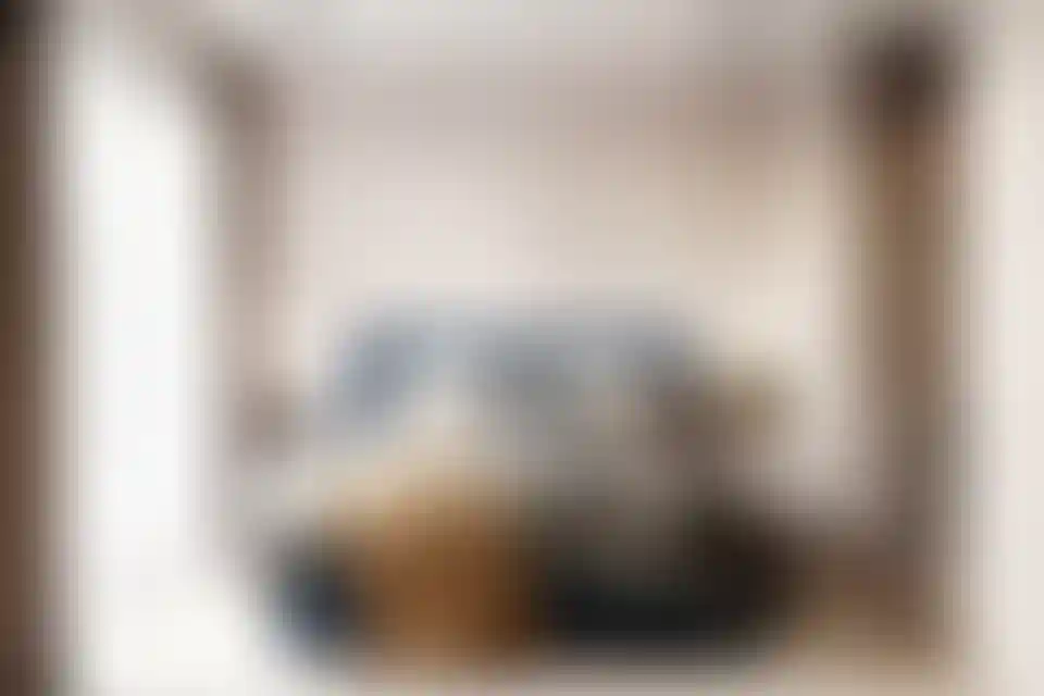 image for main block