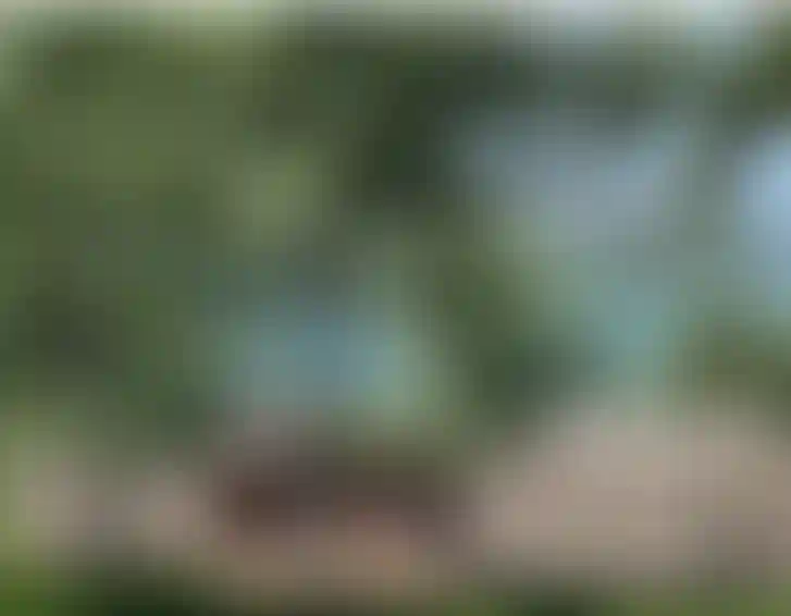 image for main block