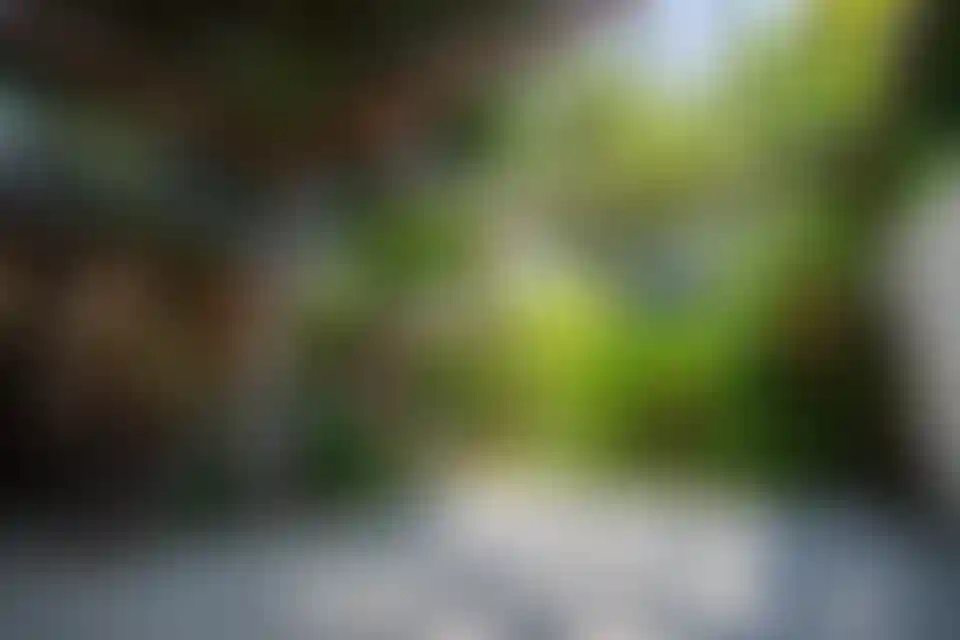 image for main block