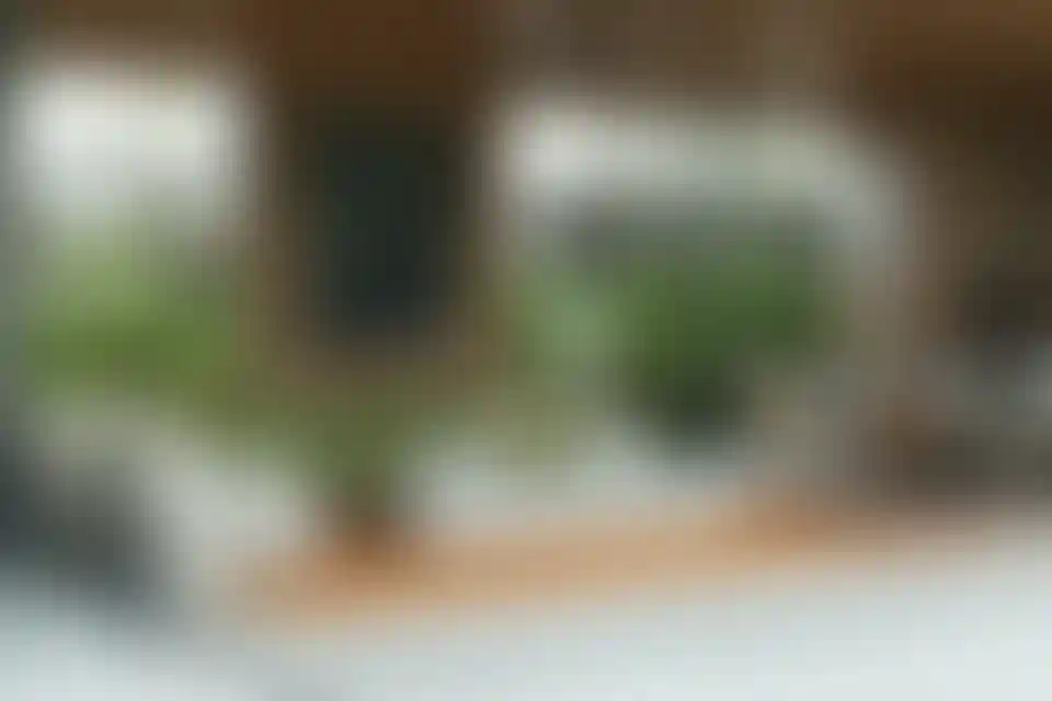 image for main block