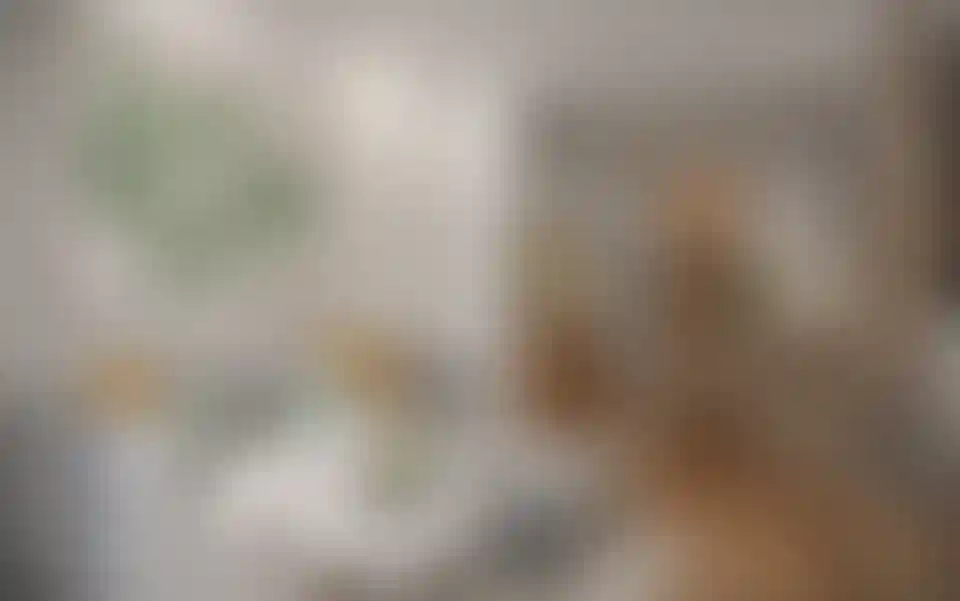 image for main block