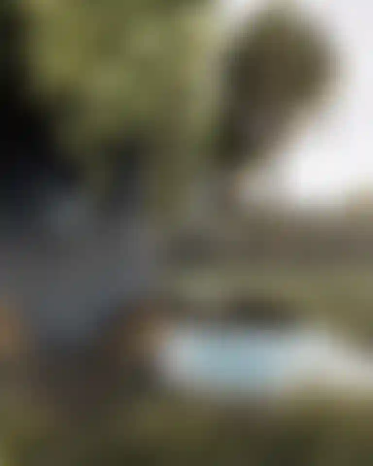 image for main block