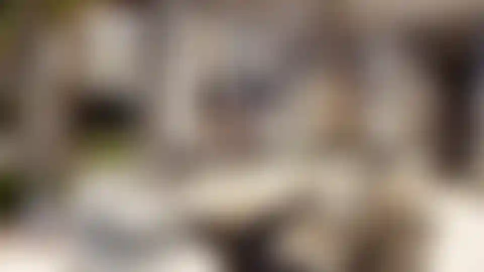 image for main block